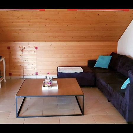 Groot Appartement Nabij Brugge Met Eigen Badkamer! ダンメ エクステリア 写真