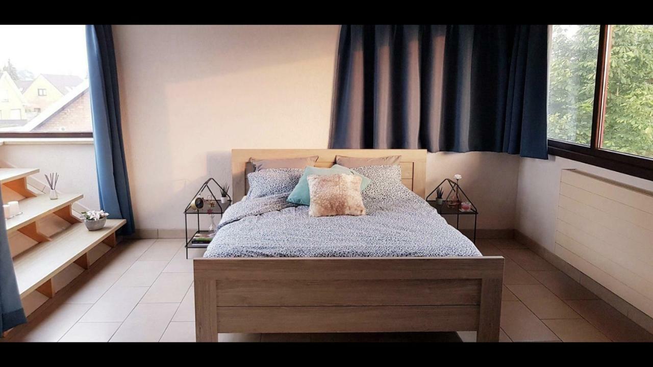 Groot Appartement Nabij Brugge Met Eigen Badkamer! ダンメ エクステリア 写真