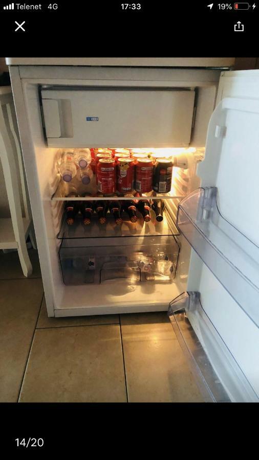 Groot Appartement Nabij Brugge Met Eigen Badkamer! ダンメ エクステリア 写真